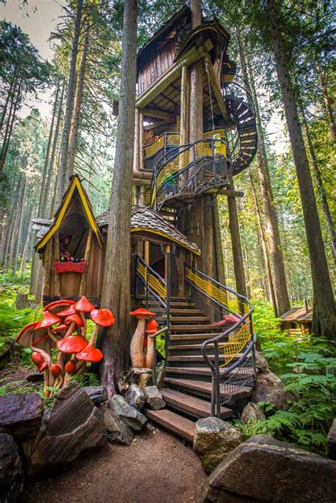 Fall in Love with the Enchanted Surroundings of a Thanksgiving Tree House Stay